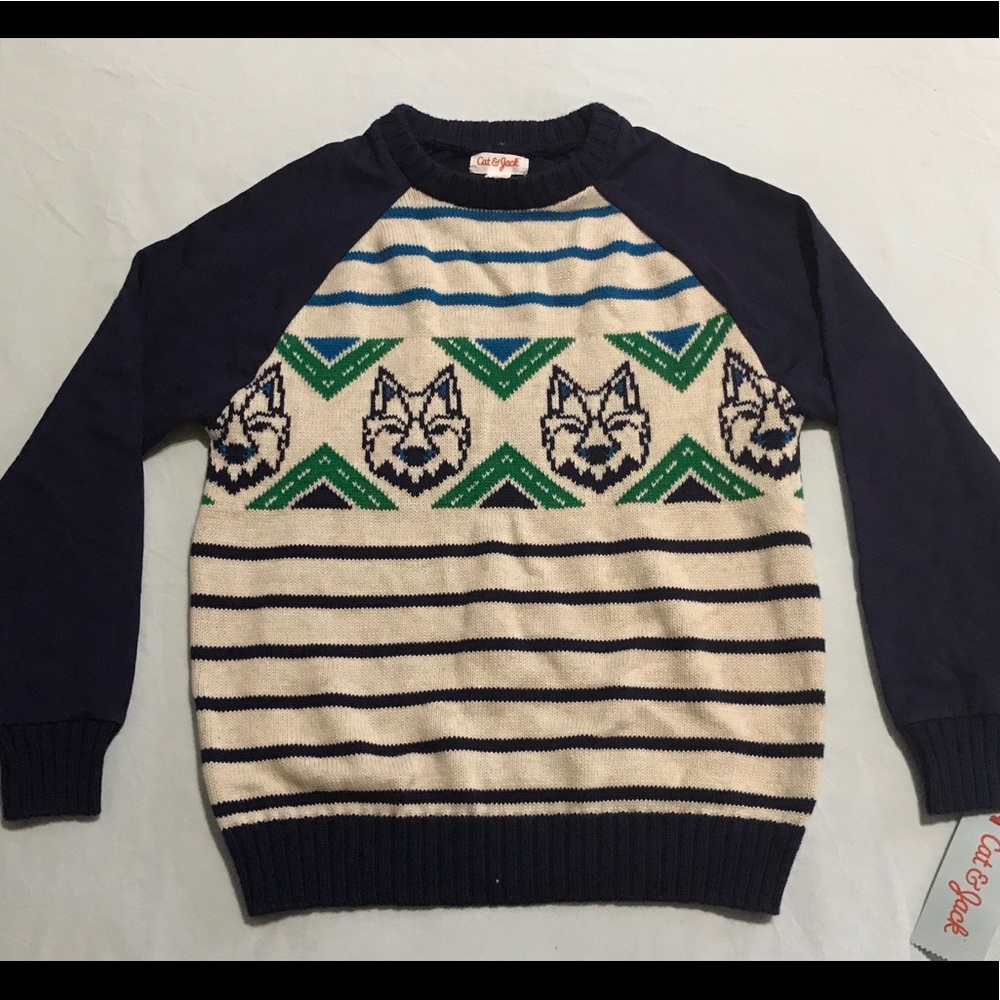Blue Sweatshirt